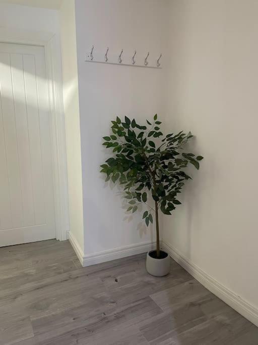 Modern 1-Bed Apartment Belfast Esterno foto