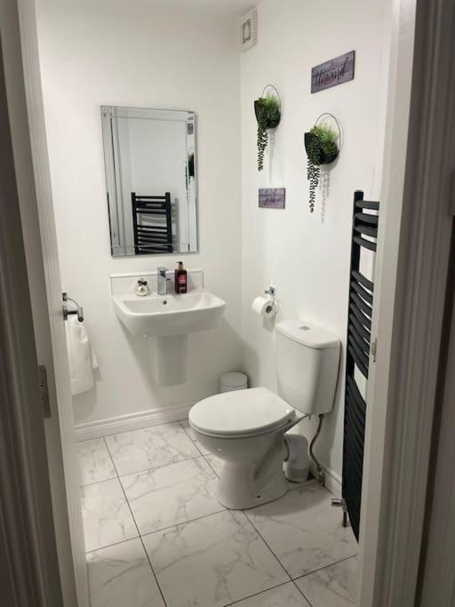Modern 1-Bed Apartment Belfast Esterno foto